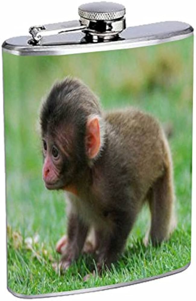 monkey flask amazon