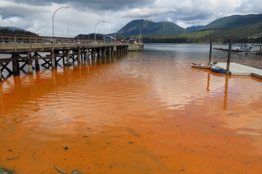 red tide hope island