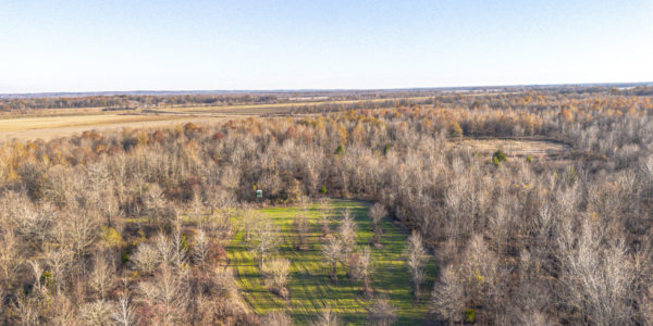land for sale tallahatchie county ms