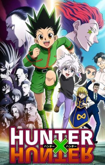 hunter x hunter x reader