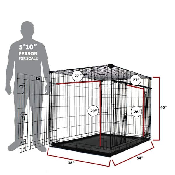 54 inch crate