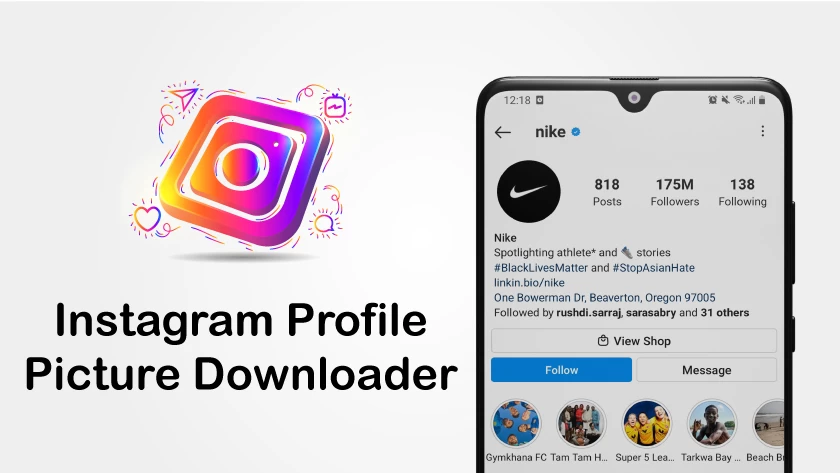 insta pfp downloader