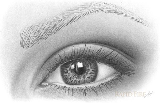 realistic eyebrow drawing