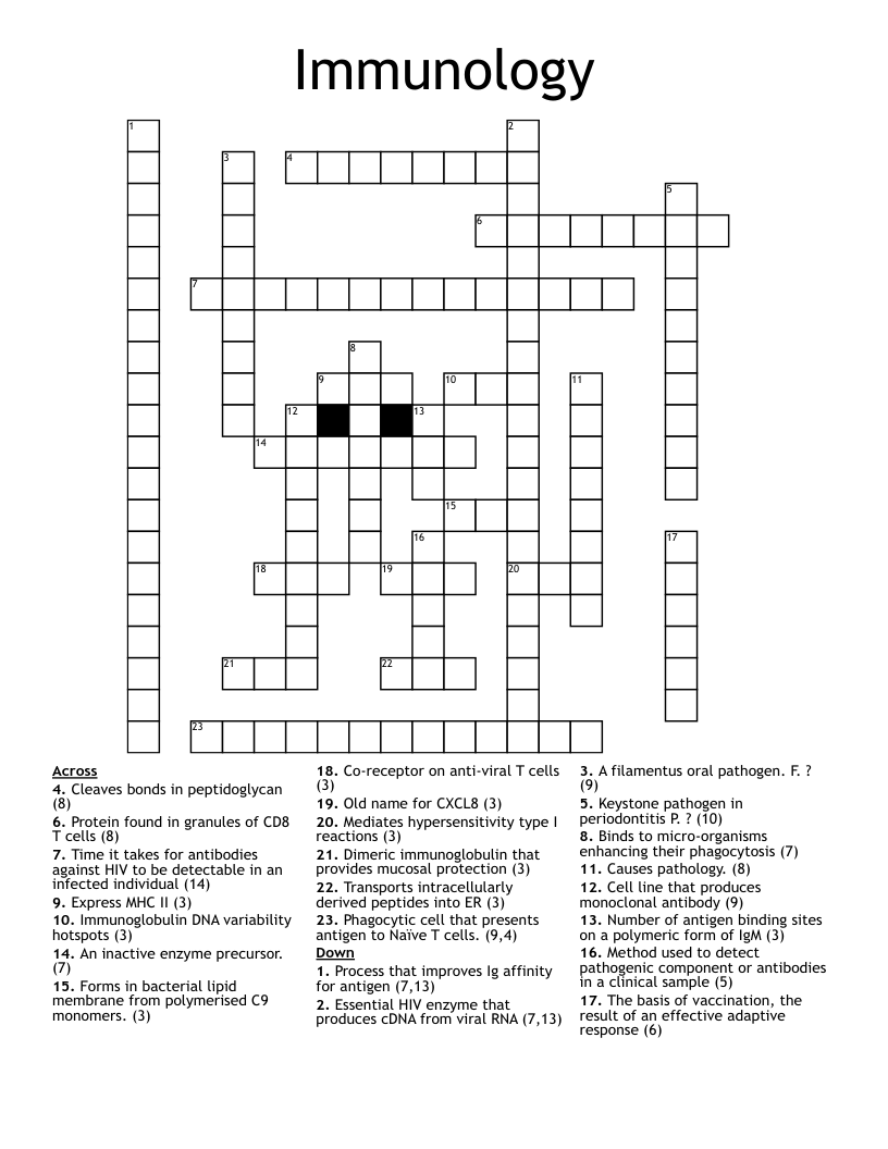 naive crossword clue