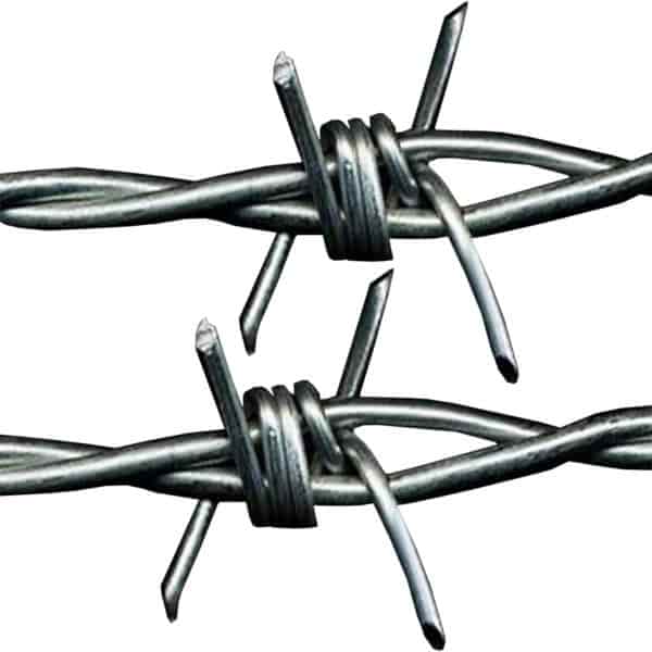 barbed meaning in bengali