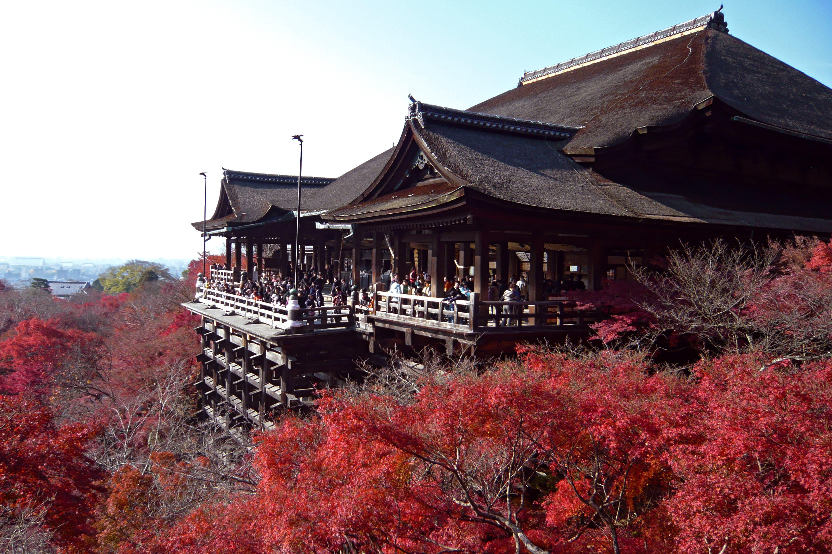 kiyomizu dera 8 cevapları