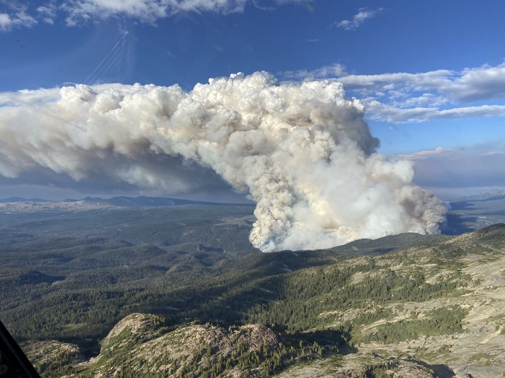 cranbrook forest fires