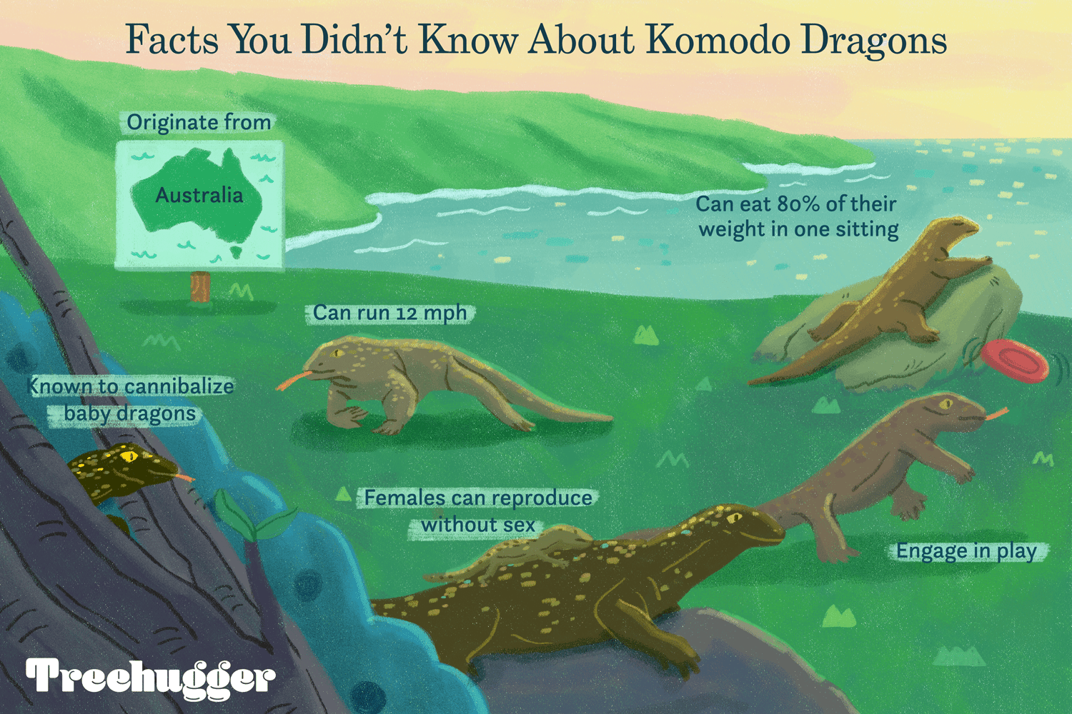 komodo dragons diet