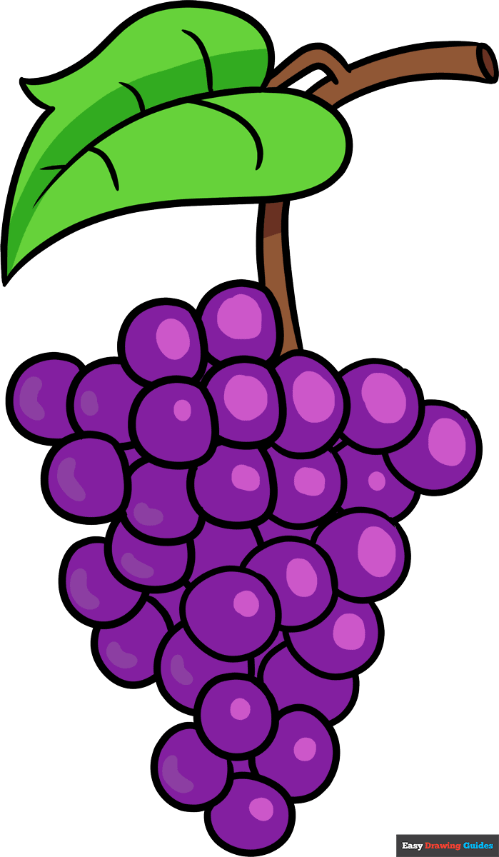 grapes drawing easy