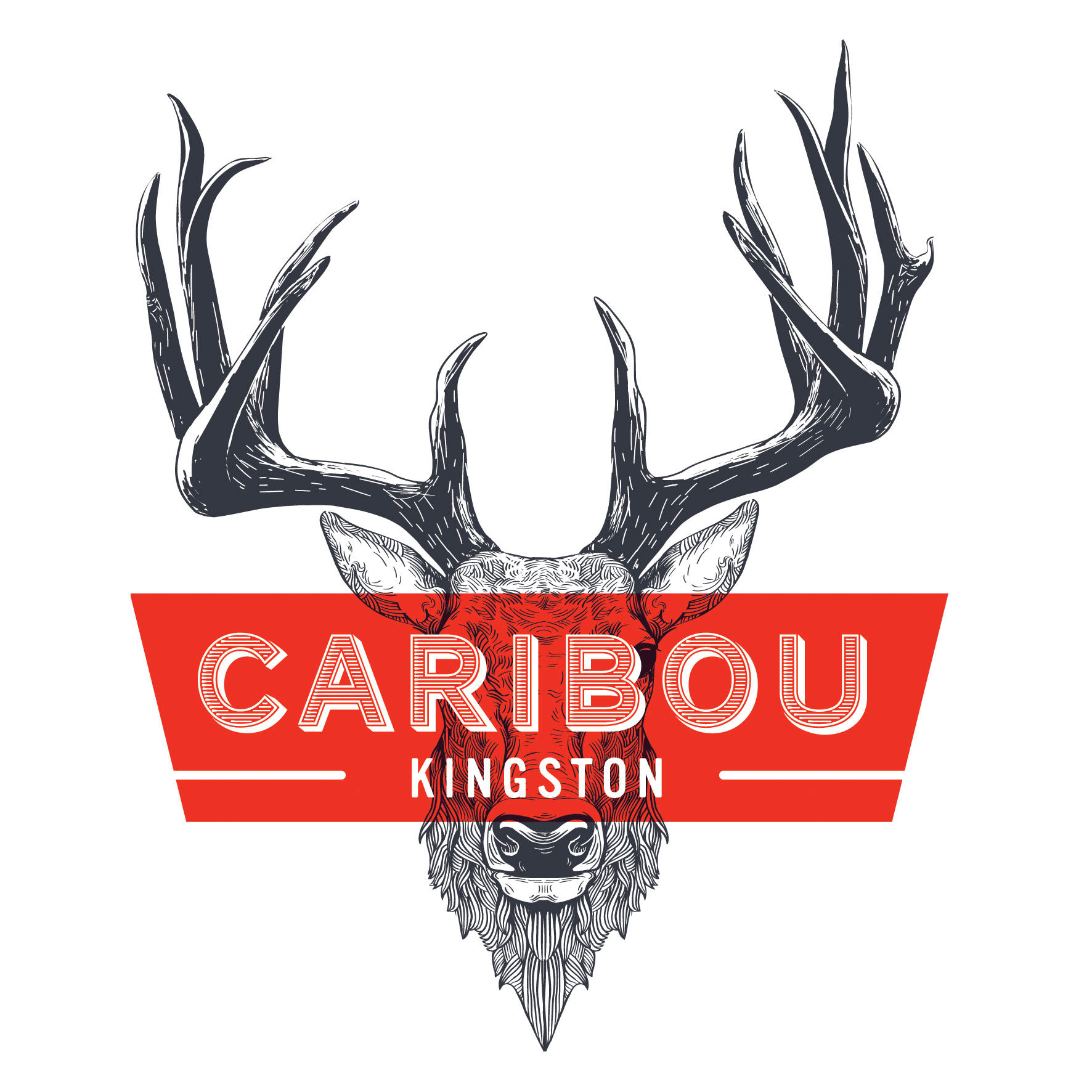 caribou kingston photos