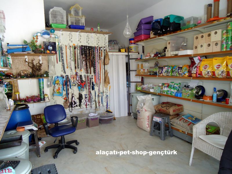 alaçatı petshop