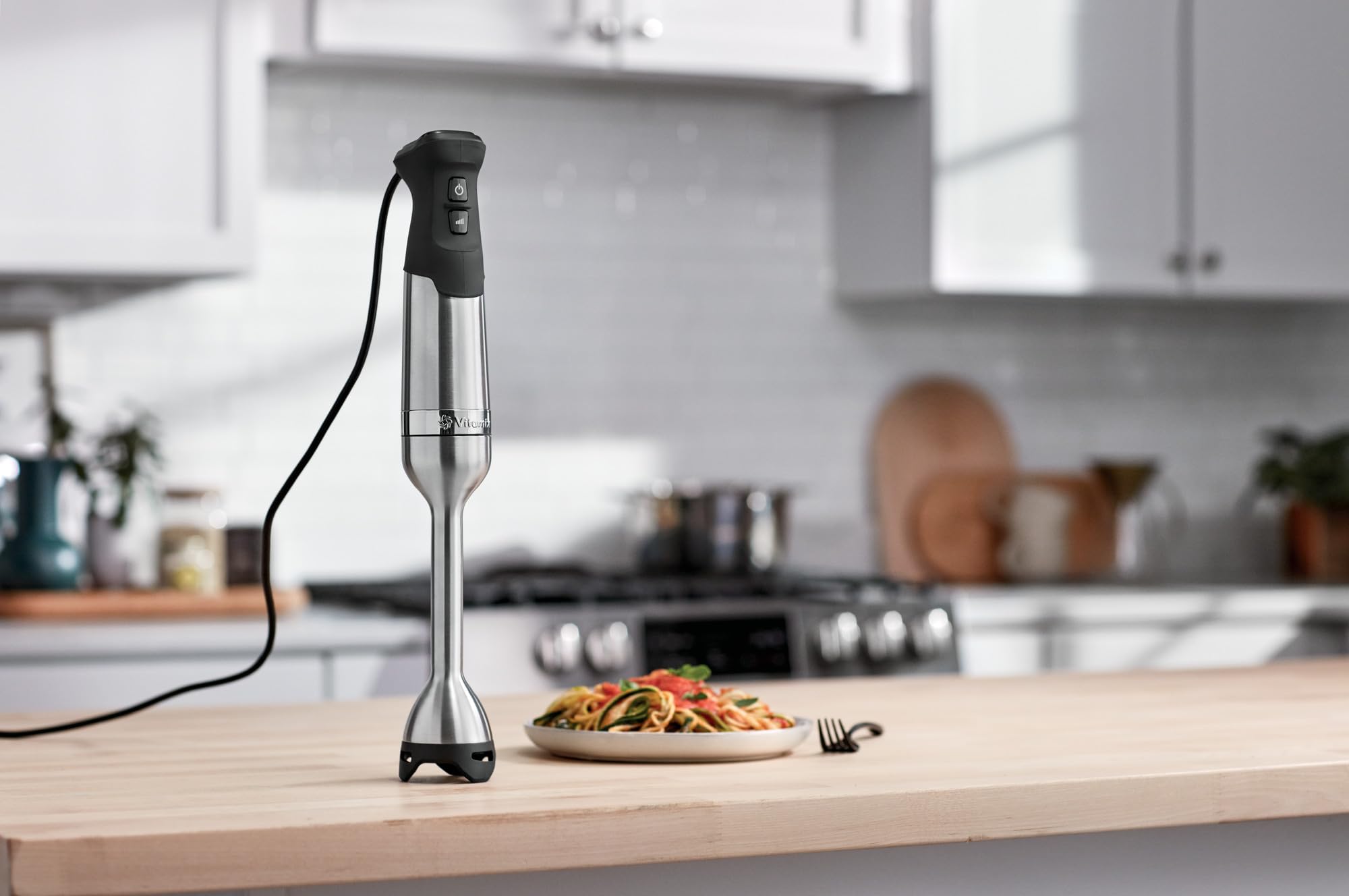 vitamix immersion blender review