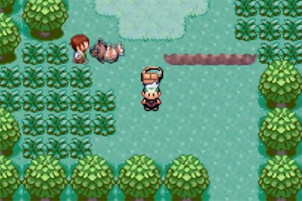 cheat money pokemon emerald