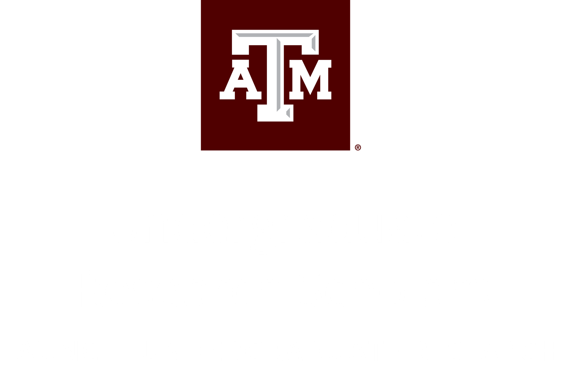 tamu undergraduate research