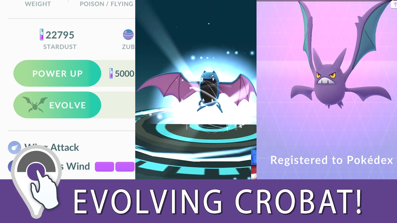 how do i evolve golbat