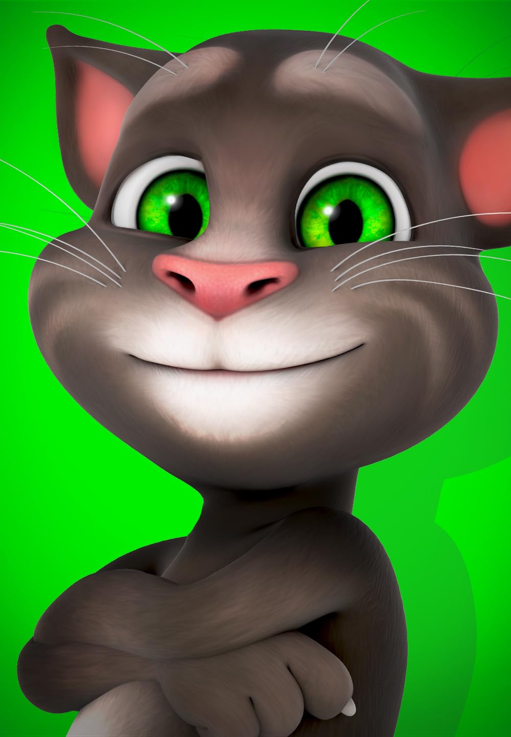 talking tom talking cat