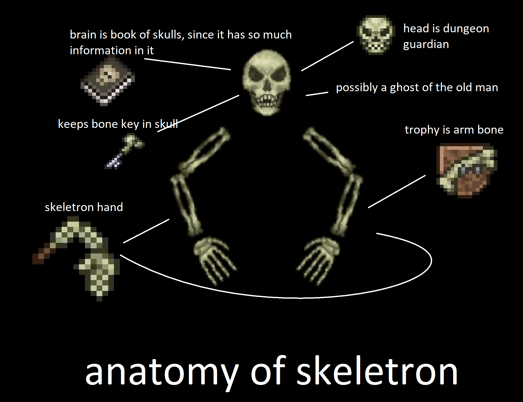 skeletron drops