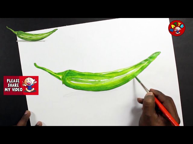 green chillies drawing