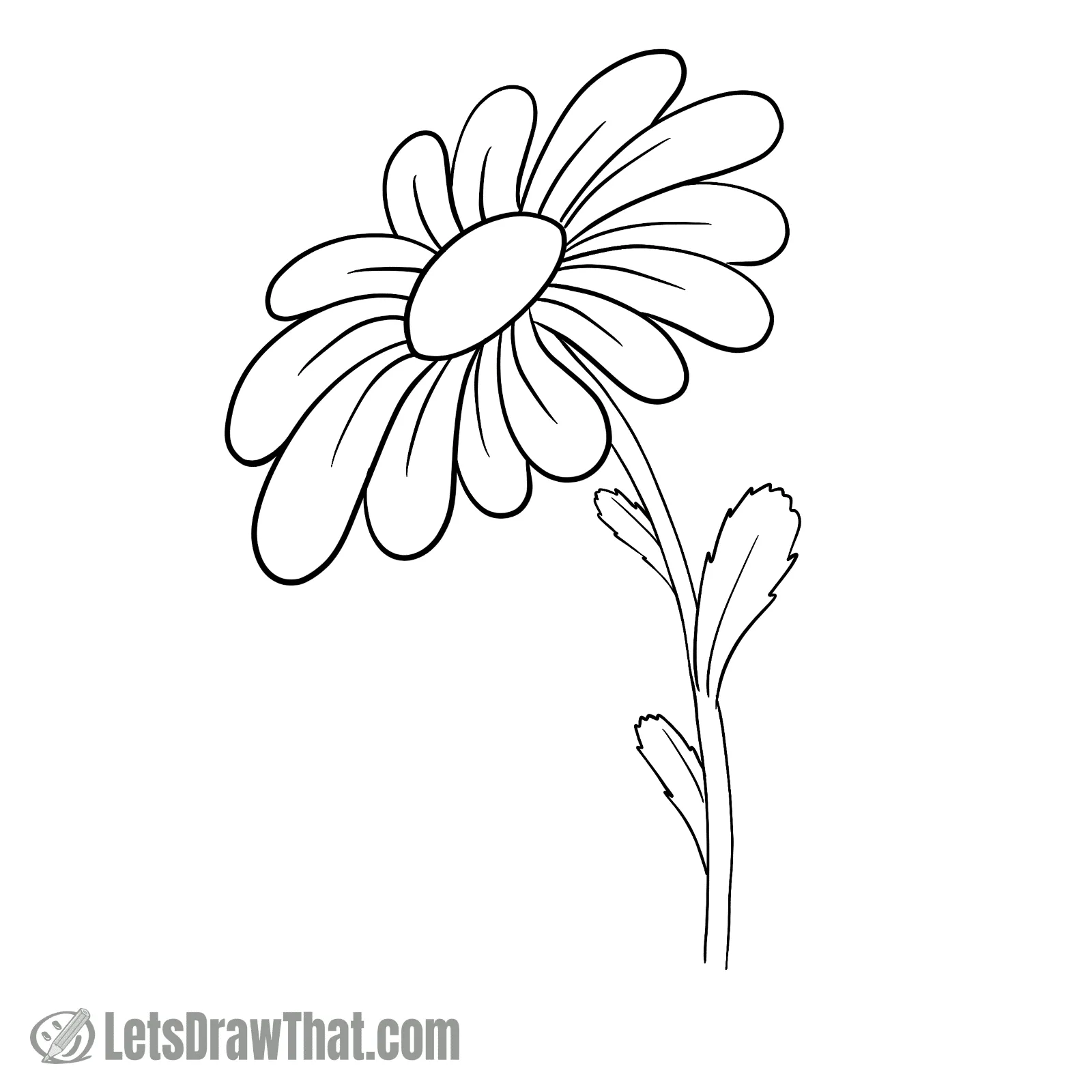 how to draw daisy flower