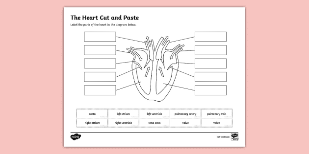 heart cut and paste