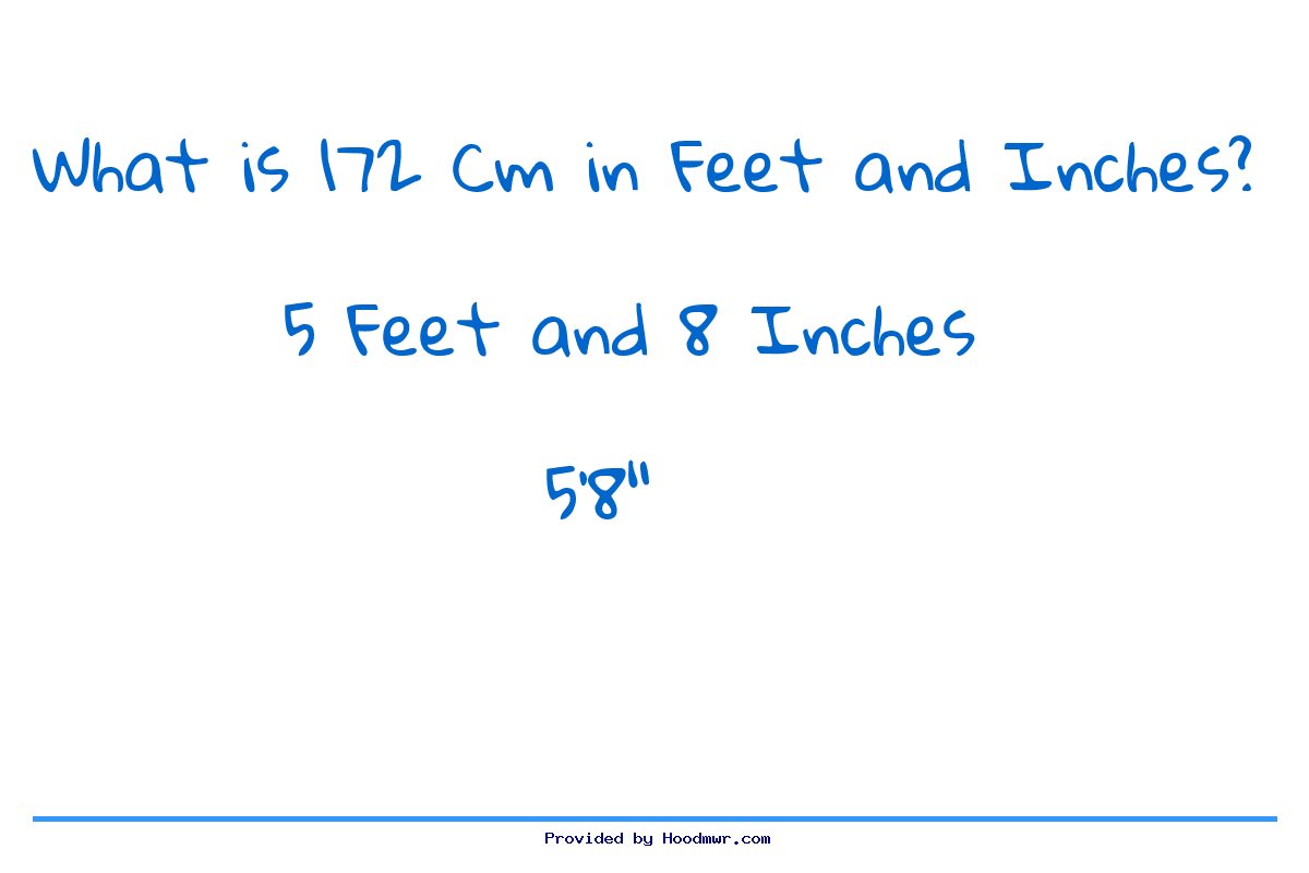 1.72m in inches