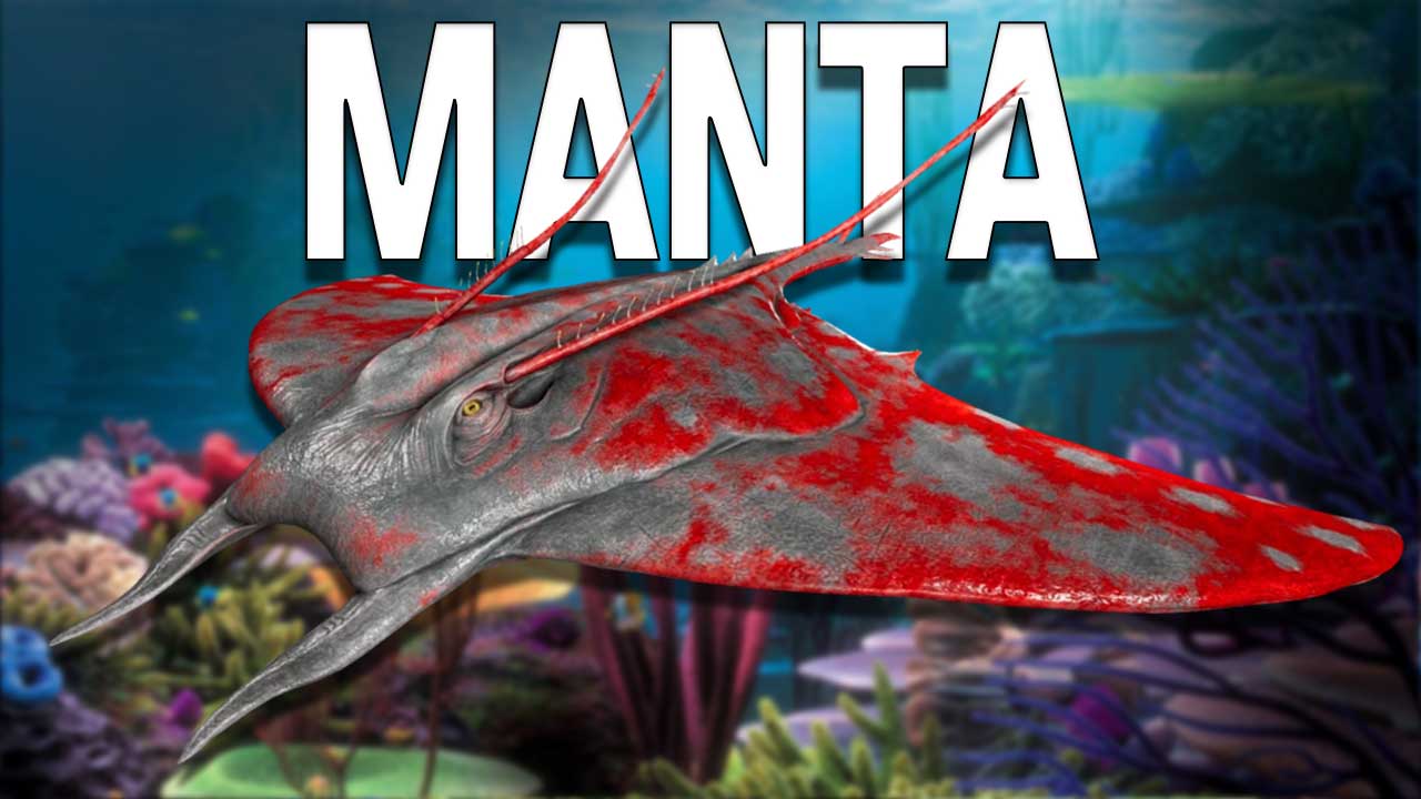 manta ark