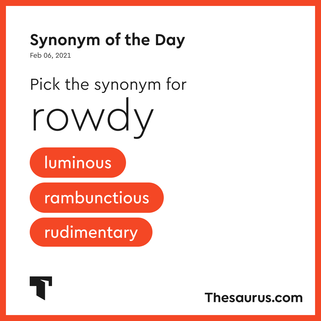 rambunctious synonym