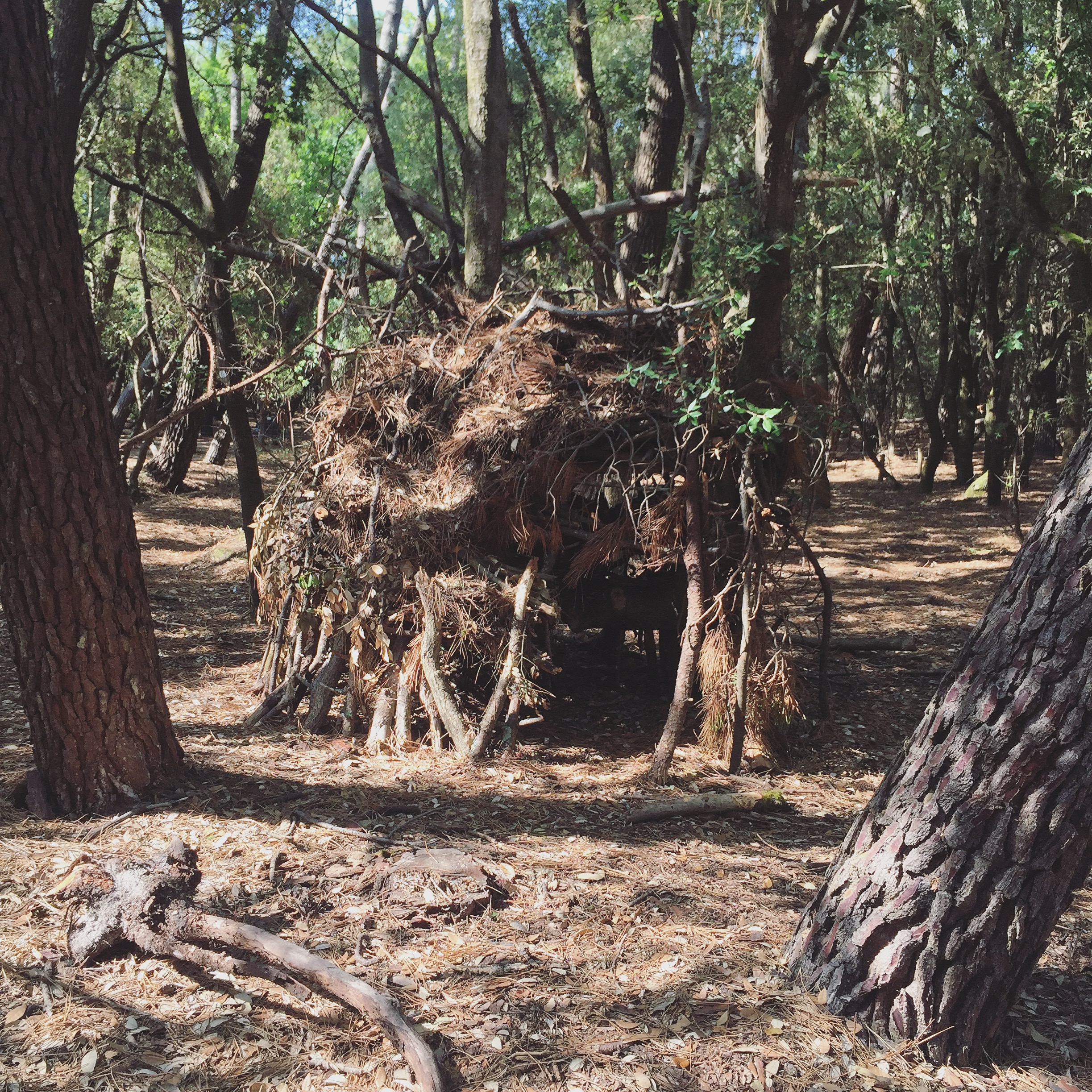 lieux de drague