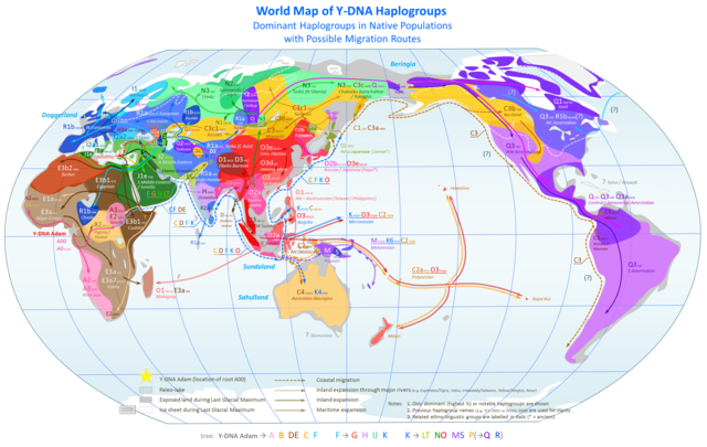 haplogroup