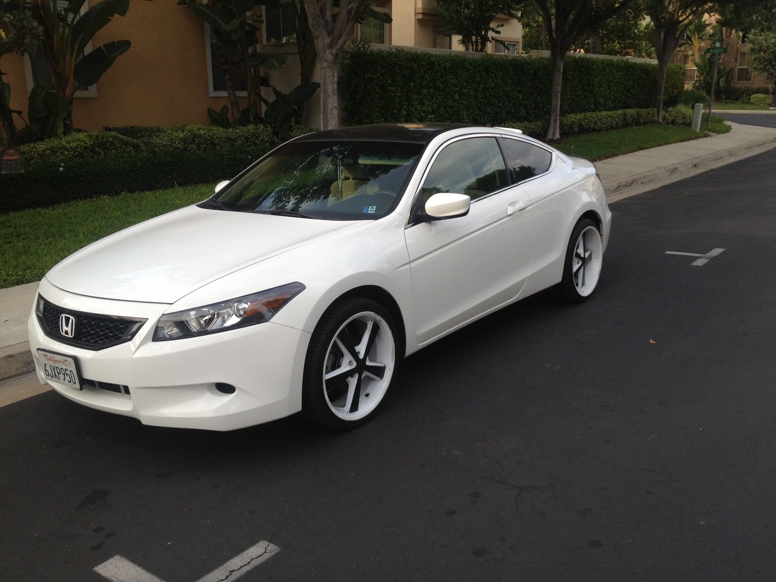 white accord coupe