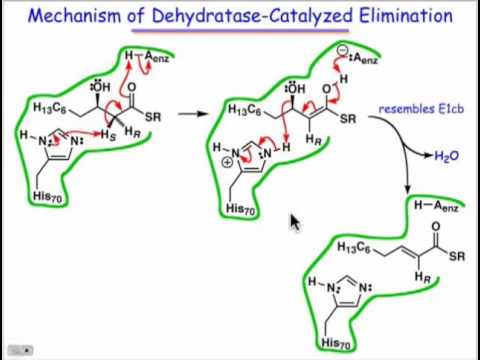 dehydratase