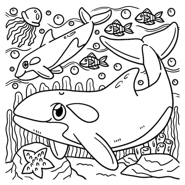 killer whale coloring page