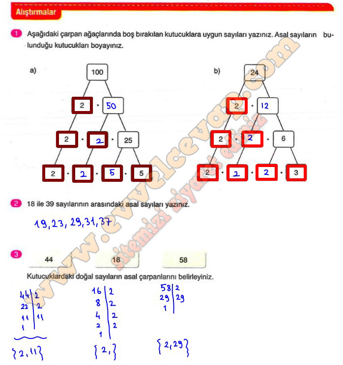 6 sınıf matematik sayfa 44 45 cevapları