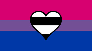 heteroromantic bisexual