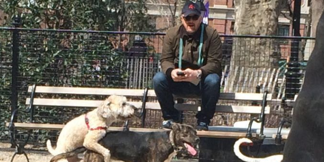 louis ck dog adoption