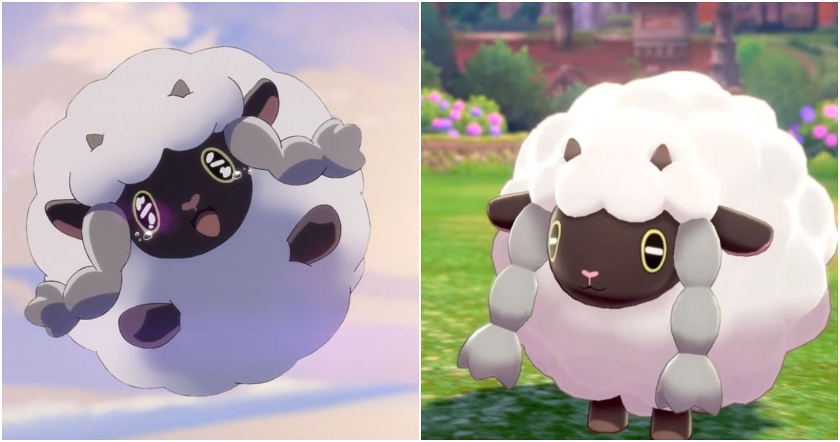 pokemon shield wooloo