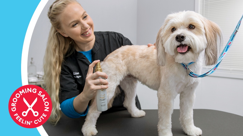 petsmart hot springs grooming