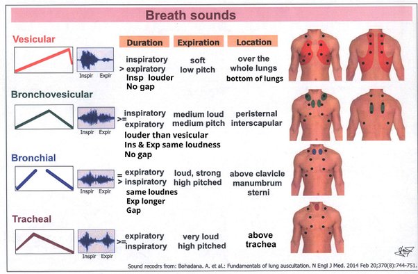 vibration feeling in chest