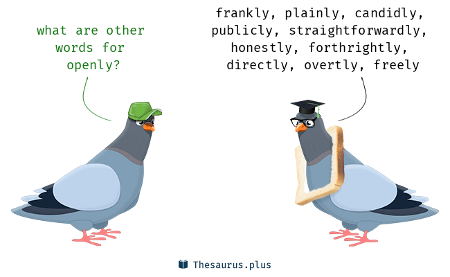 openly thesaurus