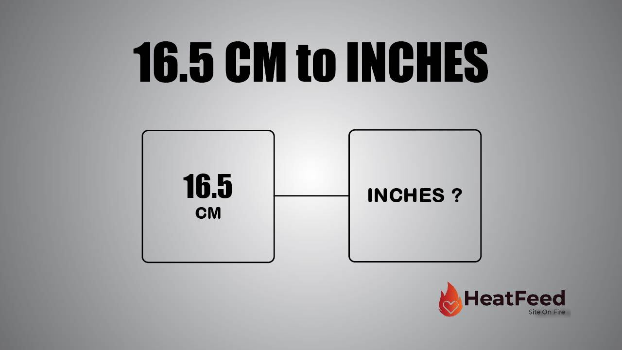 16.5cm in inches