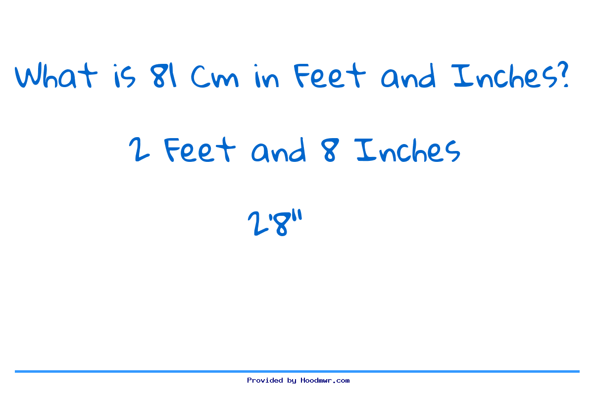 81cm in inches