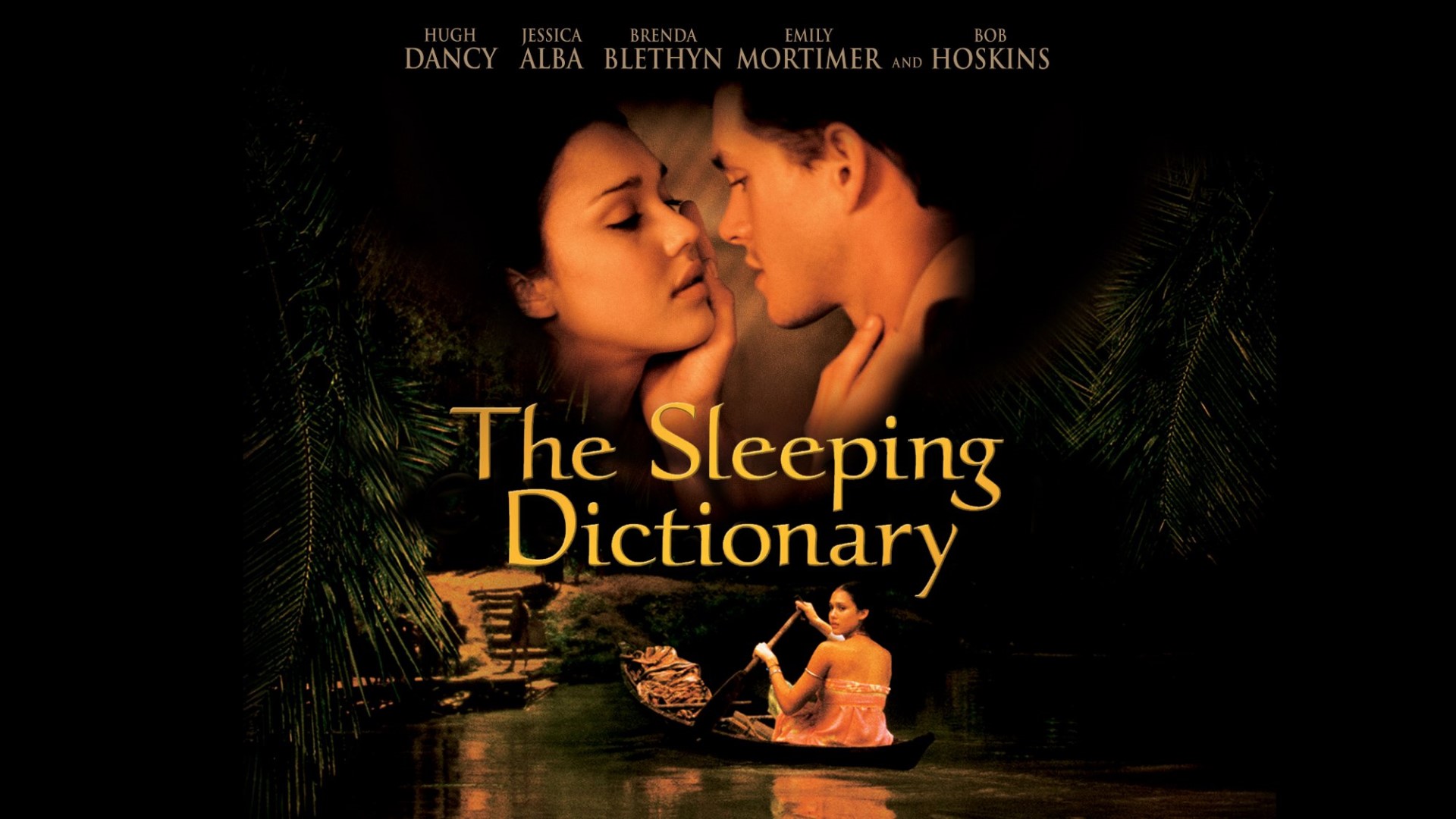 watch the sleeping dictionary