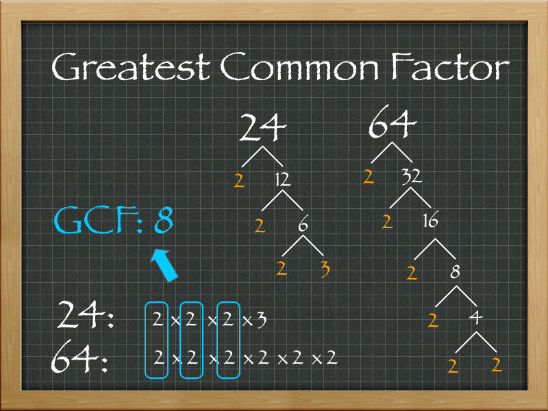 what is the greatest common factor of 24 and 64