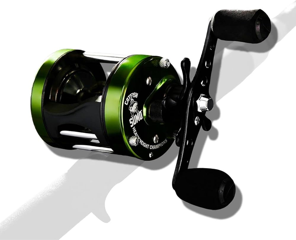 best catfish baitcaster