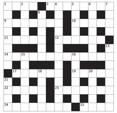 pretentious nonsense crossword