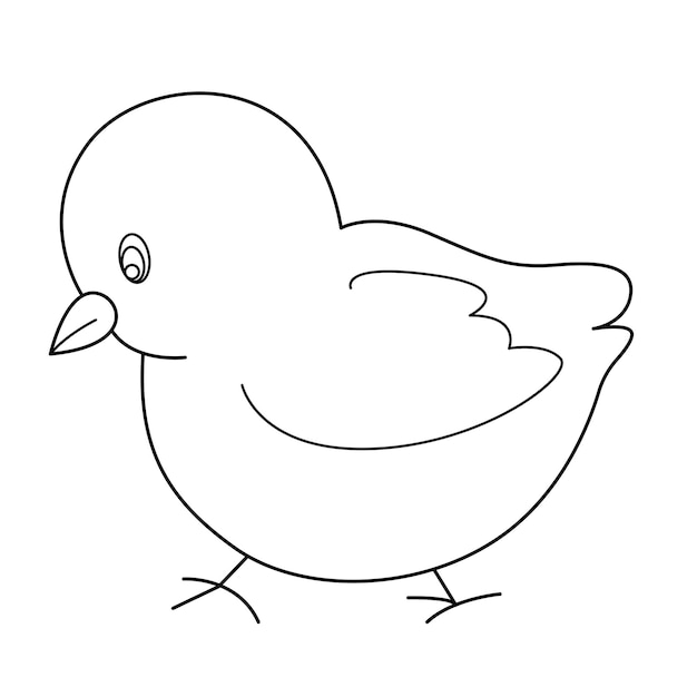 chick outline