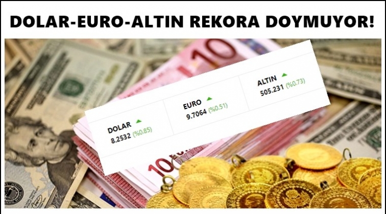 0.73 dolar kaç tl