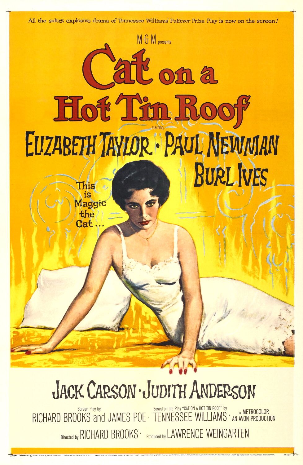 synopsis cat on a hot tin roof