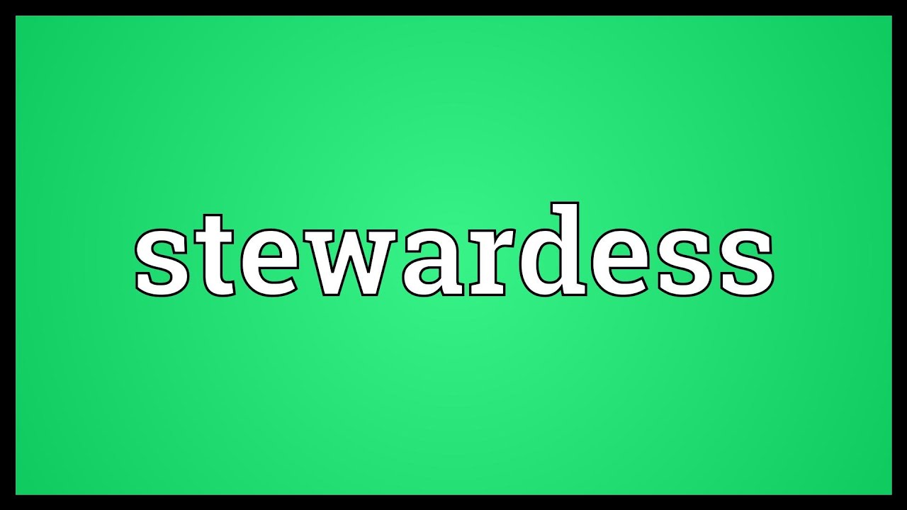 stewardess meaning in hindi