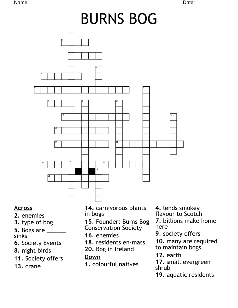 evergreen shrub - crossword clue 9 letters